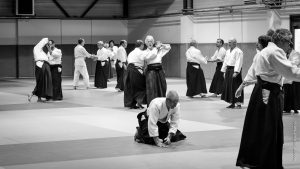 Dimanche 12 nov - Trognon (18)